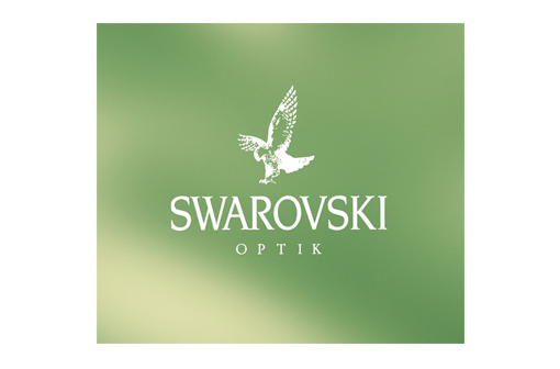 Logo der Veraenderungsintelligenz Referenz SWAROVSKI Optik